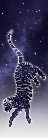 Galaxy Tiger