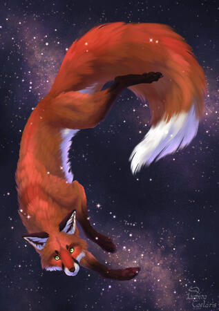 Galaxy Fox