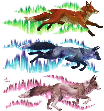 Aurora Foxes