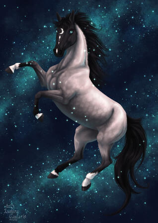 Galaxy Horse
